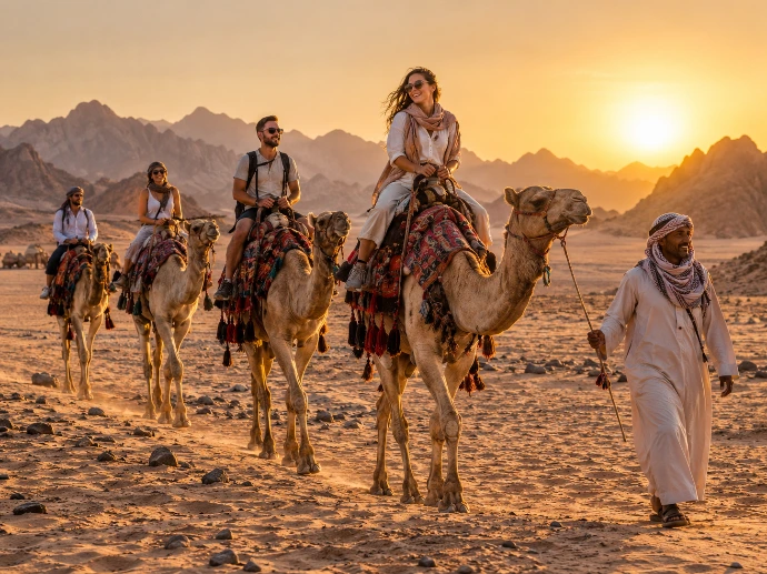 Camel riding in the Sinai desert near Sharm El Sheikh
