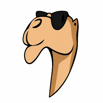 sinaisafariadventures.com